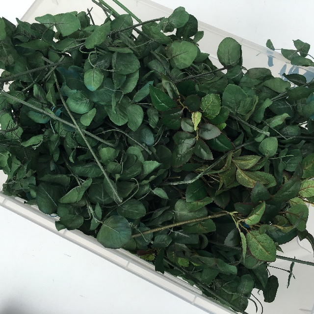 Box of Foliage Stems